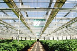 現(xiàn)代溫室種植技術深度解析