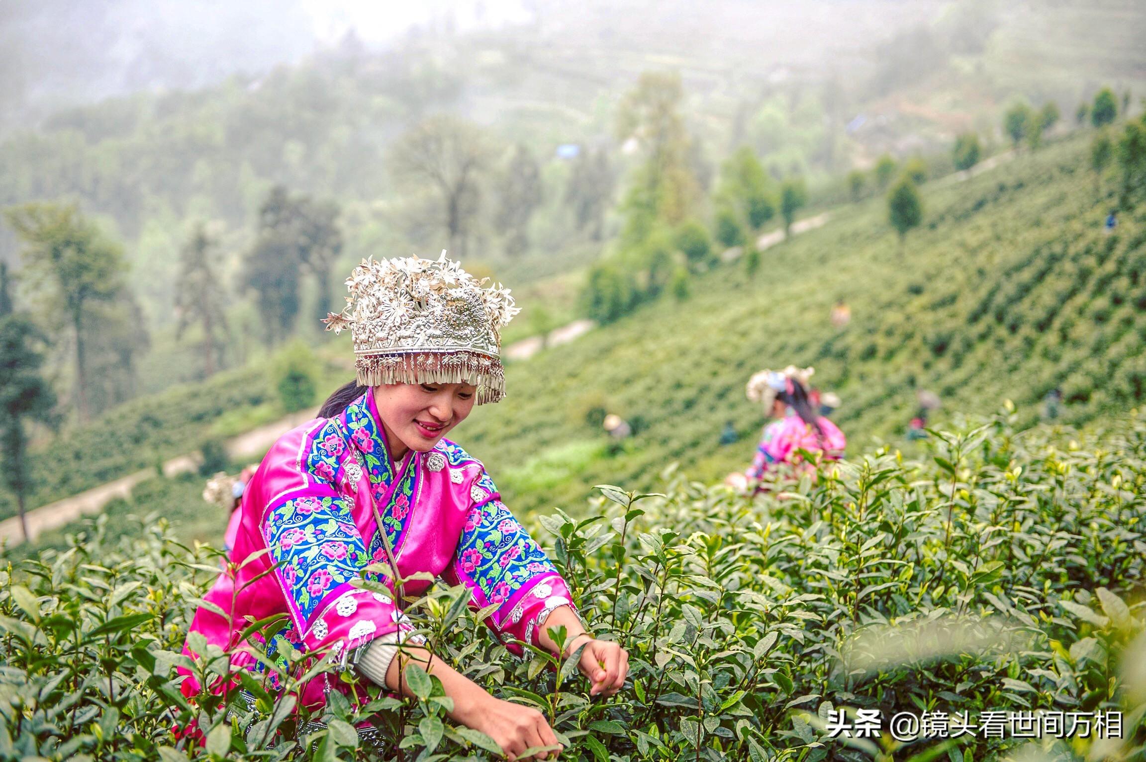 黔南新聞快訊，新鮮出爐的當(dāng)?shù)刭Y訊，不容錯過！