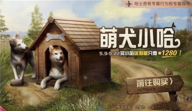 新型寵物風(fēng)潮，另類寵物的興起、爭議與介紹