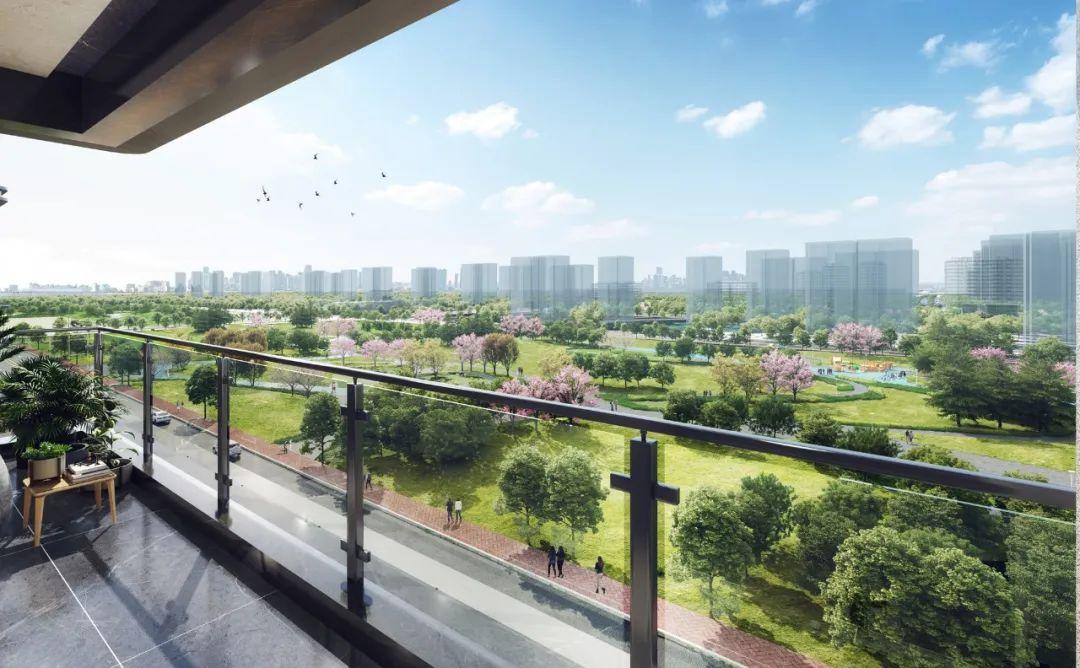 港悅城最新動(dòng)態(tài)，變化中的學(xué)習(xí)之旅，自信與成就感的源泉