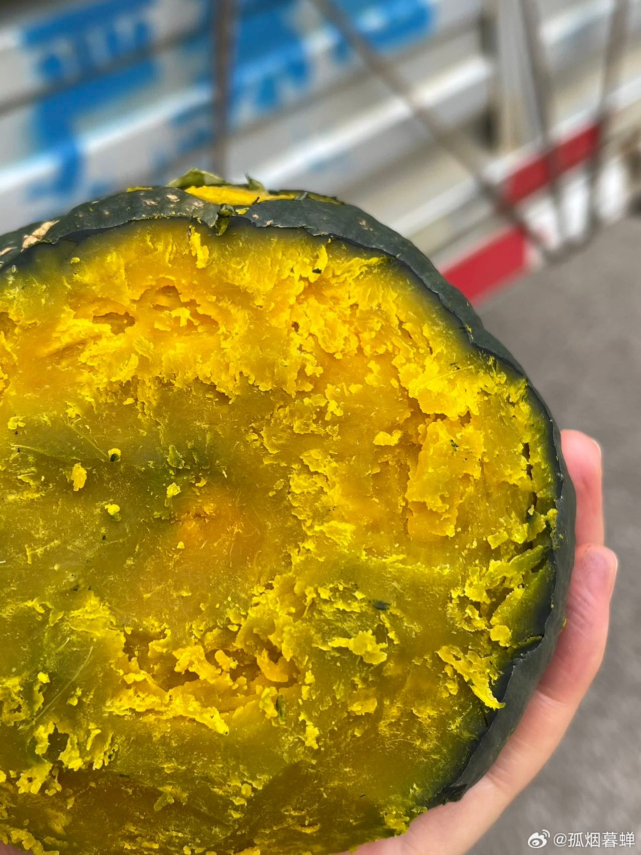 鉤花新品速遞，一場(chǎng)與自然的美麗遨游之旅