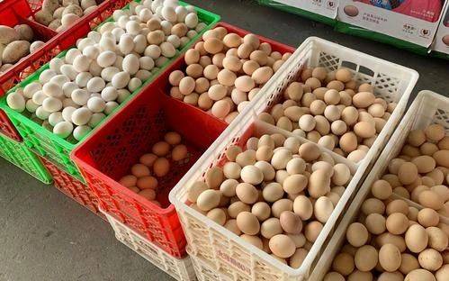 今日臨沂雞蛋價格行情,今日臨沂雞蛋價格行情