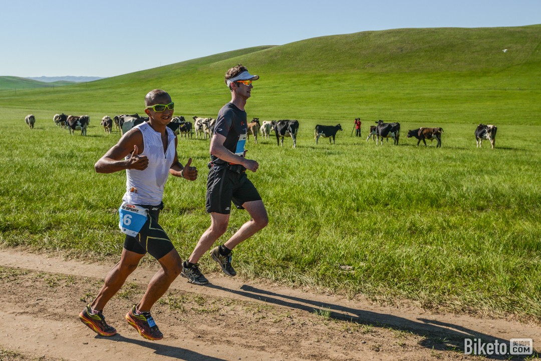 鐵木真比賽，小巷中的寶藏，競技盛宴開啟