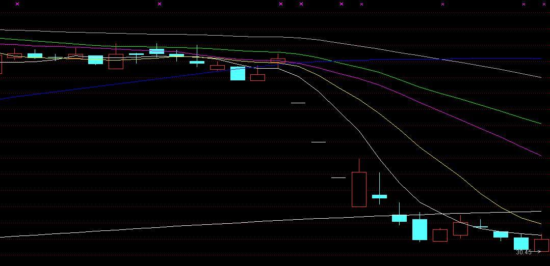揭秘空頭股票，賺錢新姿勢，你掌握了嗎？