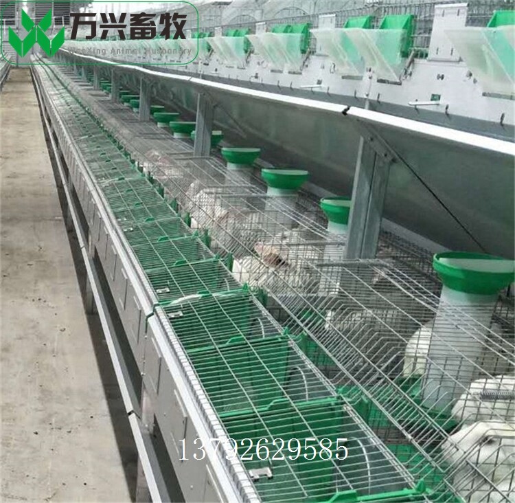 革新養(yǎng)兔業(yè)，新型兔籠引領(lǐng)里程碑式發(fā)展