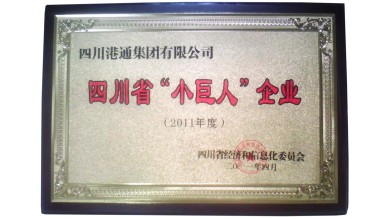 港通醫(yī)療上市進(jìn)展及成功與否的探討