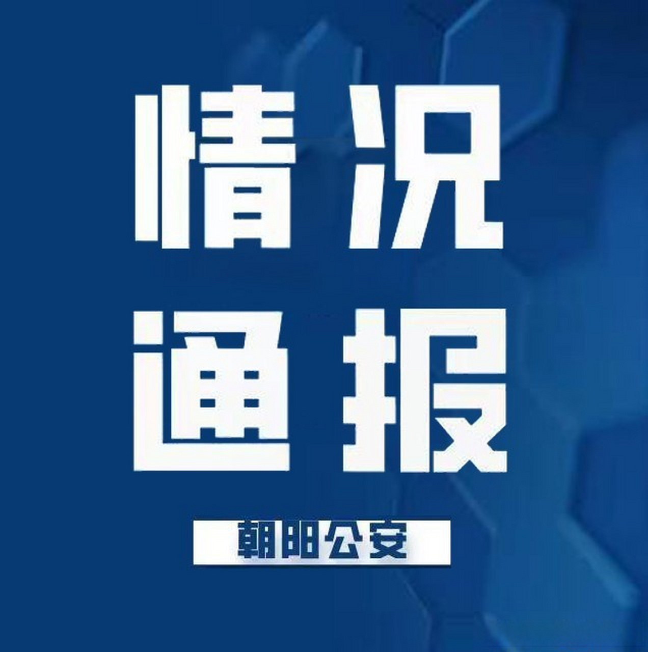 最新動態(tài)揭示，平凡日常的溫馨故事