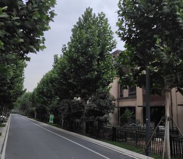 焦作武陟最新房?jī)r(jià)概覽與趨勢(shì)分析