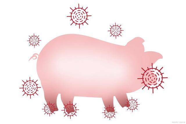 豬瘟疫情最新動態(tài)，一場與自然美景的輕松遨游之旅