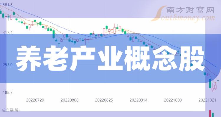 養(yǎng)老上市公司，小巷中的隱秘寶藏與特色小店的無限魅力探索