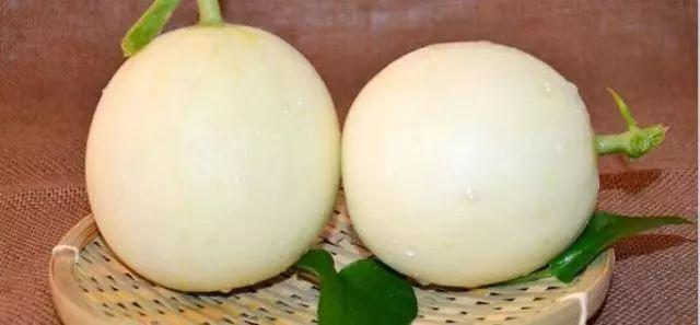 莘縣燕店鎮(zhèn)甜瓜價(jià)格，時(shí)代甜香記憶的探尋