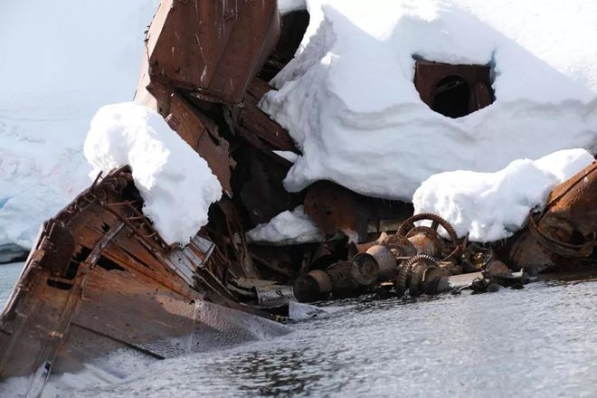 南極奇觀揭秘，探索奇跡與自我超越的力量最新報(bào)道