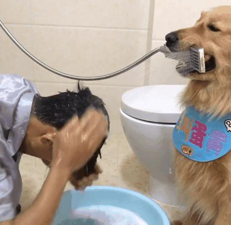 最新手機(jī)支架圖片展示，展現(xiàn)你的正能量與獨(dú)特風(fēng)格，學(xué)習(xí)變化與自信成就