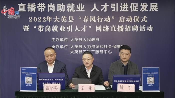 大英縣職位招聘探秘，小巷寶藏與特色小店的邂逅之旅