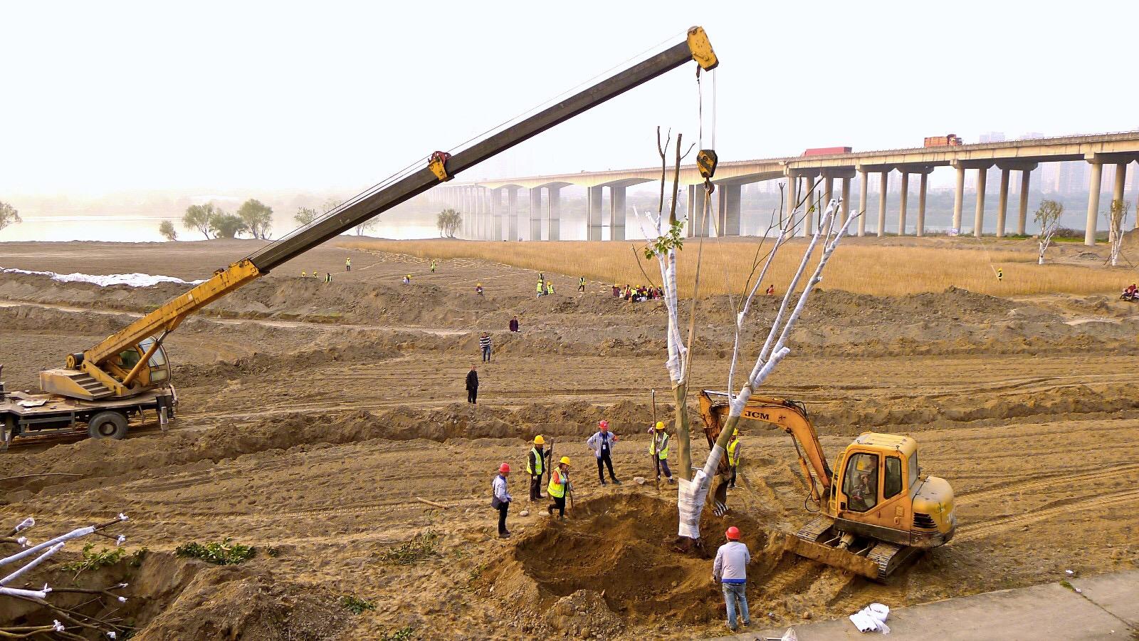 南充下中壩最新建設(shè)圖，城市發(fā)展的多維視角與深度分析