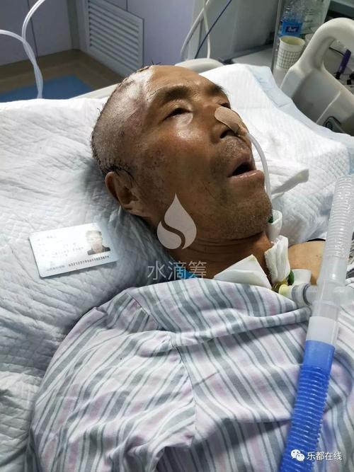 馮現(xiàn)學腦出血最新消息及應對幫助指南（初學者與進階用戶參考）