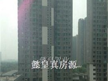 洛陽泉舜房價最新動態(tài)全面解析，如何獲取與理解房價走勢及最新消息