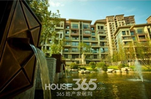 國信觀湖灣最新動態(tài)，深度分析與個人觀點分享