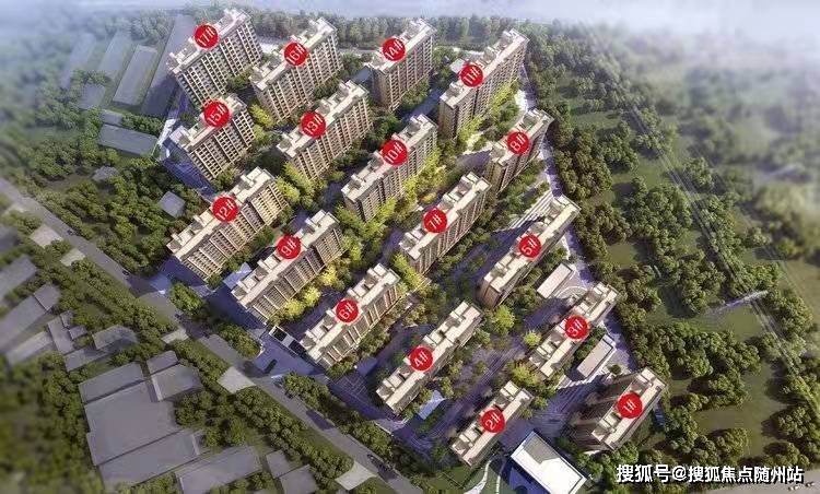 樓張鎮(zhèn)高科技產品引領未來，點亮生活新篇章的最新消息報道