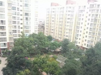 晉州盛世毫庭最新動態(tài)更新