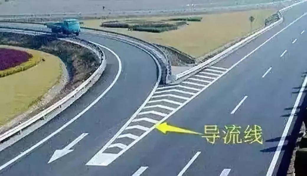 成金青快速路最新動態(tài)，日常趣事與情感紐帶揭秘