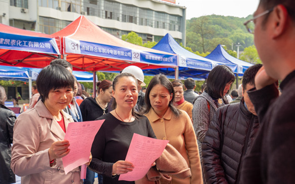 浦城縣招聘網(wǎng)最新招聘，職業(yè)發(fā)展的起點之門