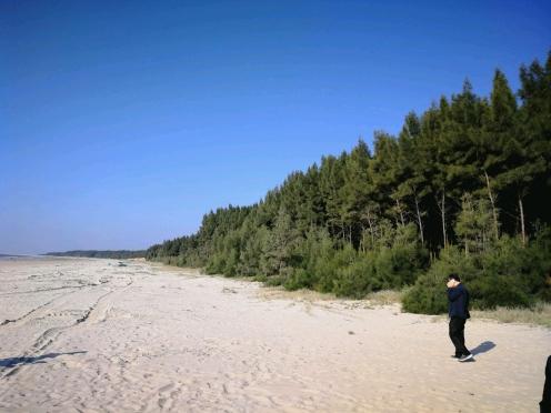 2025年第22號臺風最新動態(tài)及應對指南(全階段用戶參考)