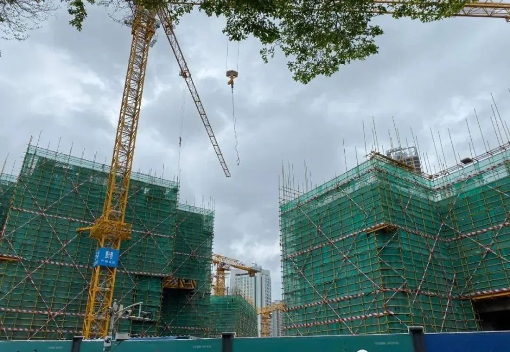 湖貝舊改最新進展更新，最新動態(tài)揭秘