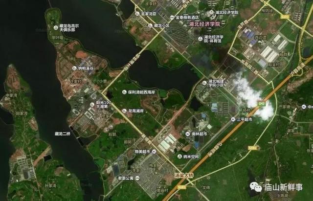 藏龍島二小最新動態(tài)揭秘，小巷特色小店探秘之旅