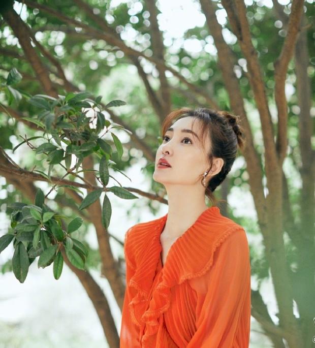 王麗坤最新電視劇，巷弄深處的星光與獨特小店之旅