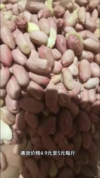 帶殼花生最新批發(fā)價格，變化中學(xué)習(xí)，成就自信與夢想之路