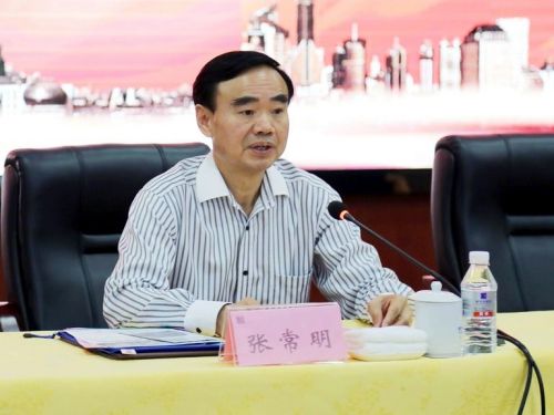 揭秘張常明最新消息，小巷中的隱藏瑰寶