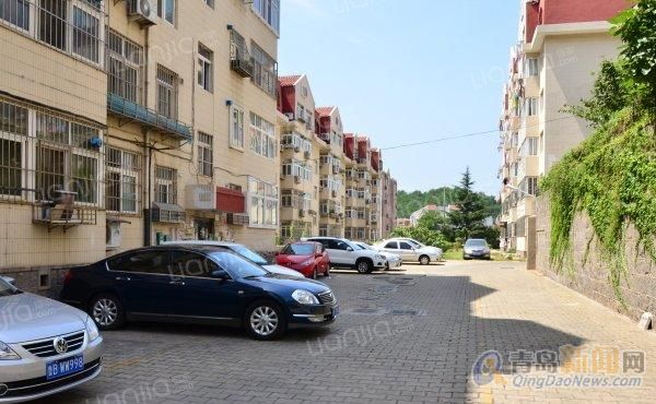 寧國房屋出租最新動態(tài)更新，最新房源信息速遞