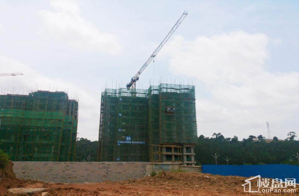 漢軍五象一號(hào)科技引領(lǐng)未來，最新動(dòng)態(tài)揭秘生活重塑之力