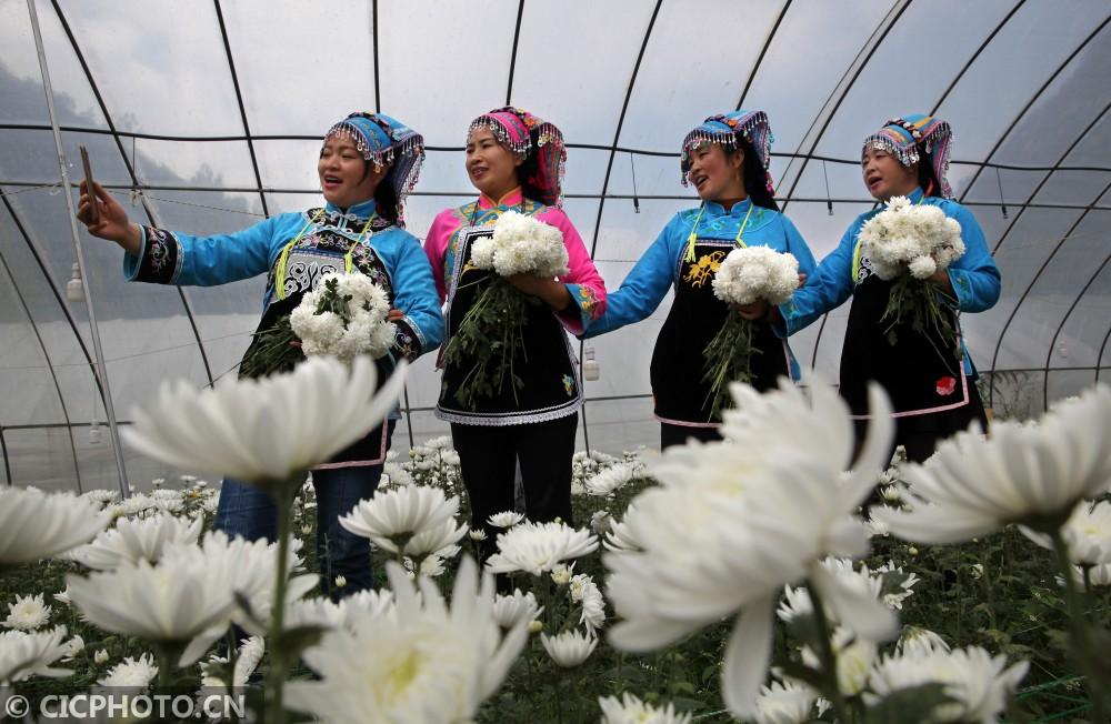 黔西縣鐘山鎮(zhèn)最新動(dòng)態(tài)，溫馨日常的點(diǎn)滴記錄