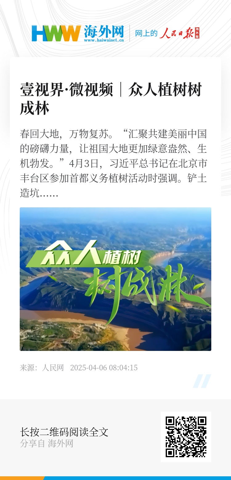 長(zhǎng)青樹(shù)眾籌最新動(dòng)態(tài)，小巷驚喜與特色小店的獨(dú)特魅力探索