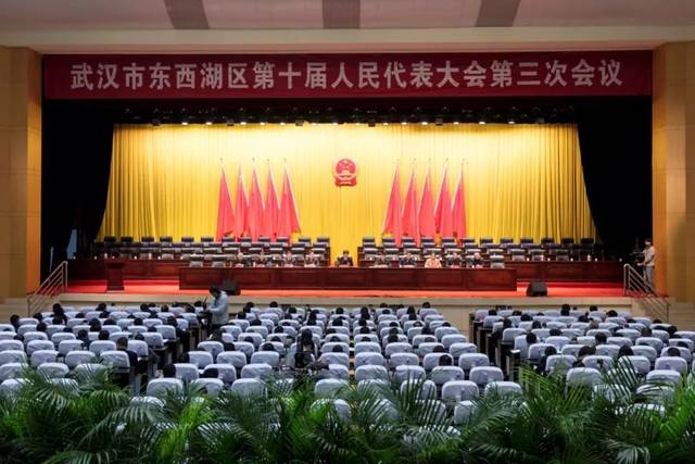 東西湖區(qū)最新任免，人事變動(dòng)的觀點(diǎn)闡述與解析