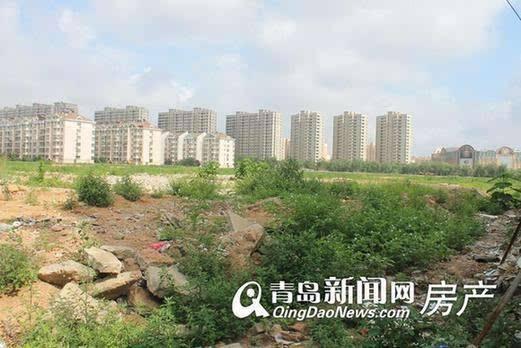 李滄楊哥莊最新動態(tài)，科技引領(lǐng)生活，智能新品體驗未來