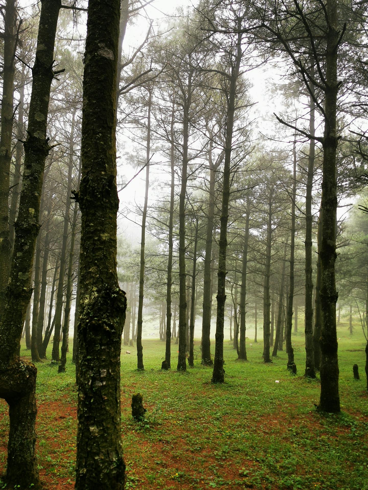 期貨世界第三部最新探索，與自然美景的邂逅與內(nèi)心平和的追尋