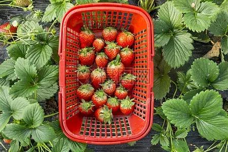 水悅龍庭證件最新進展，自然美景探索之旅啟幕