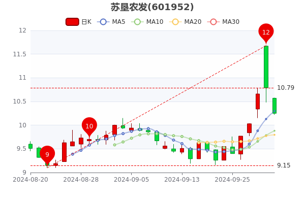 蘇墾農(nóng)發(fā)股票最新動態(tài)與溫馨日常故事揭秘