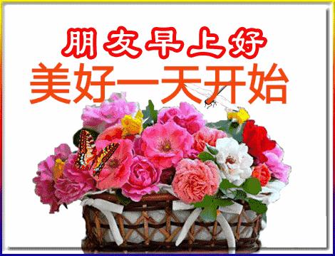 五福碰胡最新版下載，變化、學習與自信的力量之源