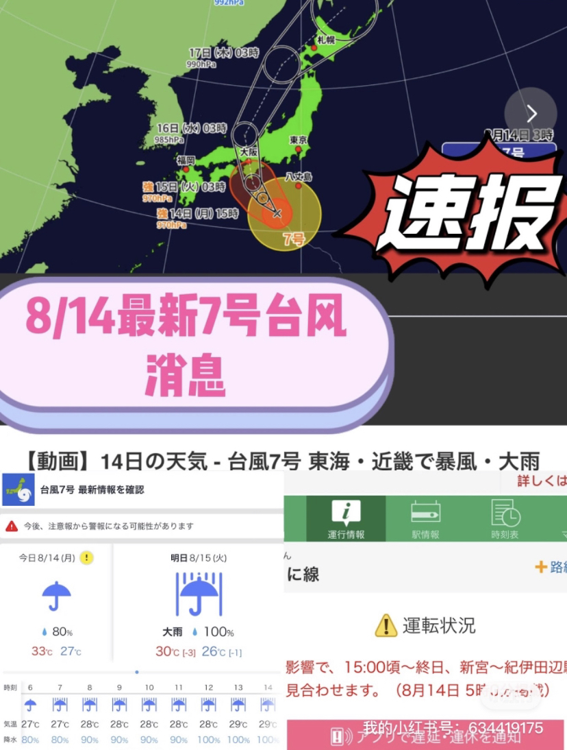 臺(tái)風(fēng)來(lái)襲，知識(shí)海洋并肩作戰(zhàn)，最新關(guān)于臺(tái)風(fēng)12號(hào)的消息報(bào)告