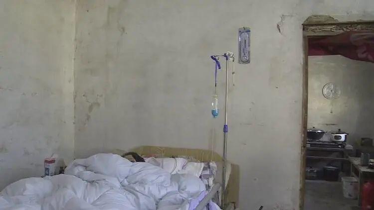 成武縣汶上鎮(zhèn)探秘，巷弄深處的獨特小店最新消息揭秘