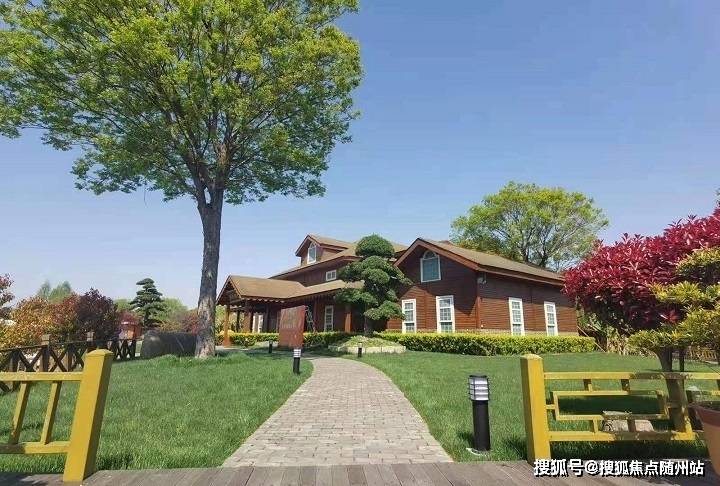 變化中的學(xué)習(xí)之旅，中澤純境最新消息與自信成就之源