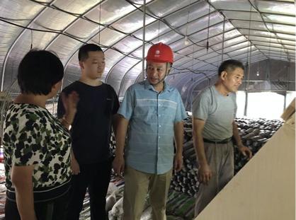 陳瑤湖汪朝龍，心靈與自然的美妙之旅最新報(bào)道