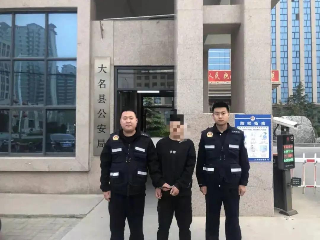 大名出租房屋最新動(dòng)態(tài)，全面指南與最新消息