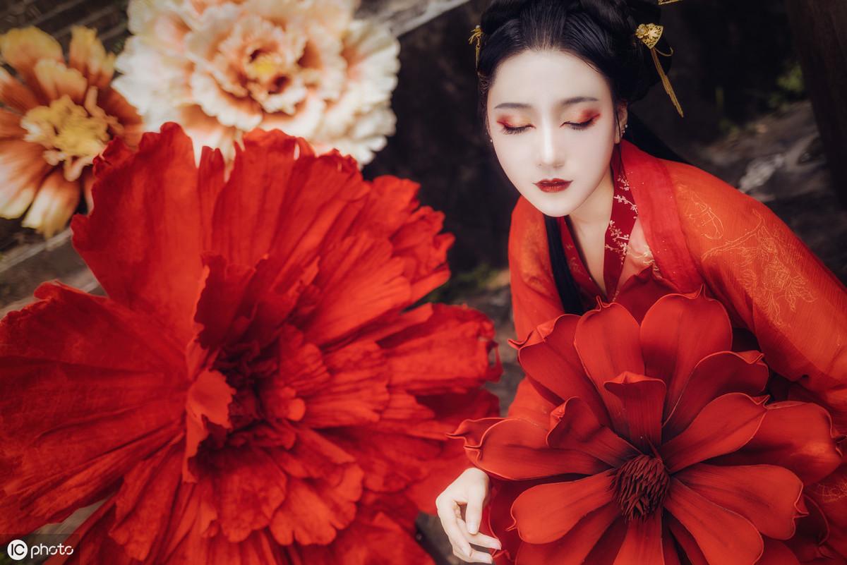 三亞海棠月色最新動(dòng)態(tài)更新，最新消息匯總