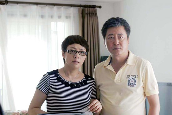 趙寶剛最新電視劇深度解析與探討，新劇探討與探討