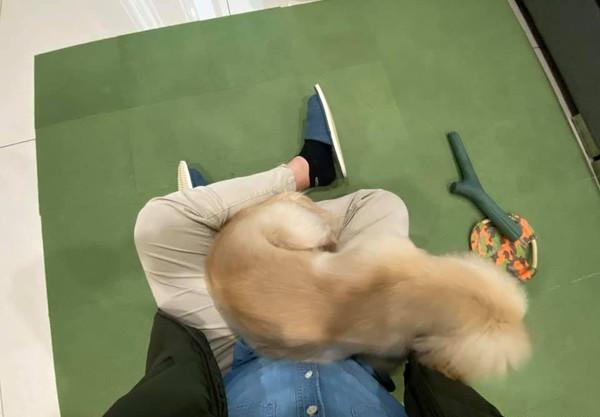 探索萌文化的魅力之旅，最新章節(jié)閱讀大全